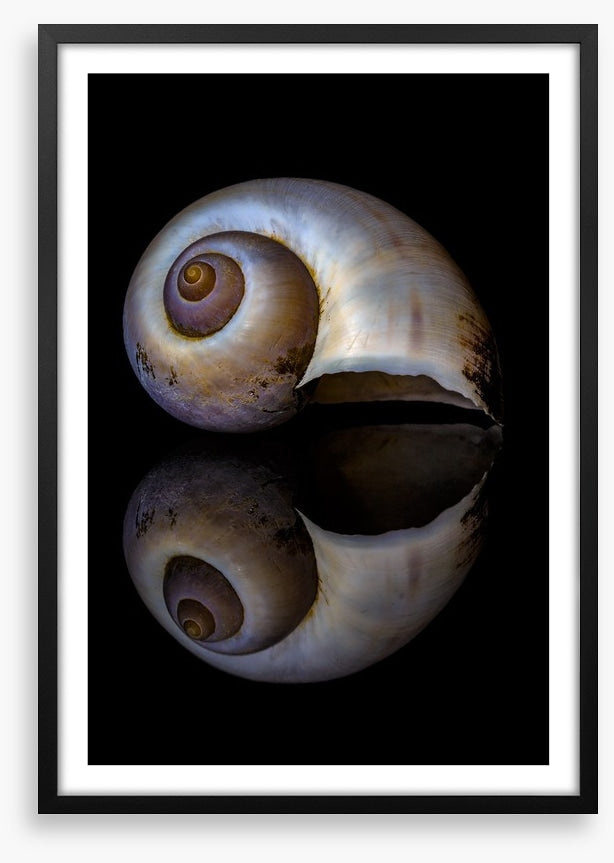 Echo of the sea