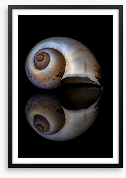 Echo of the sea