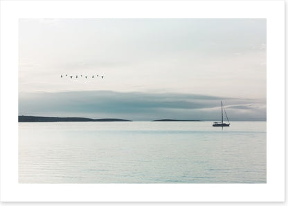 Following the birds