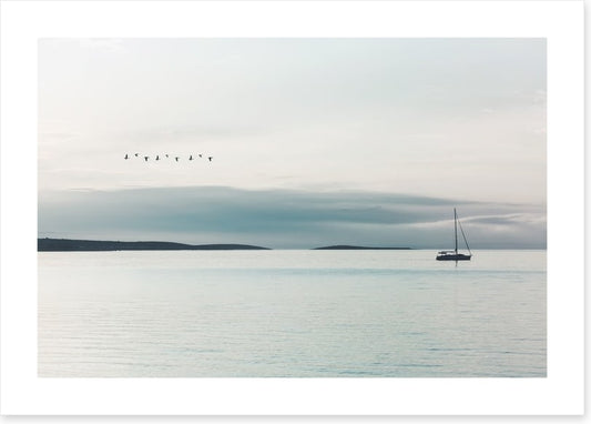 Following the birds