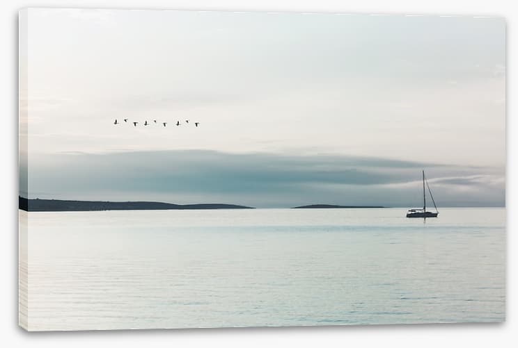 Following the birds