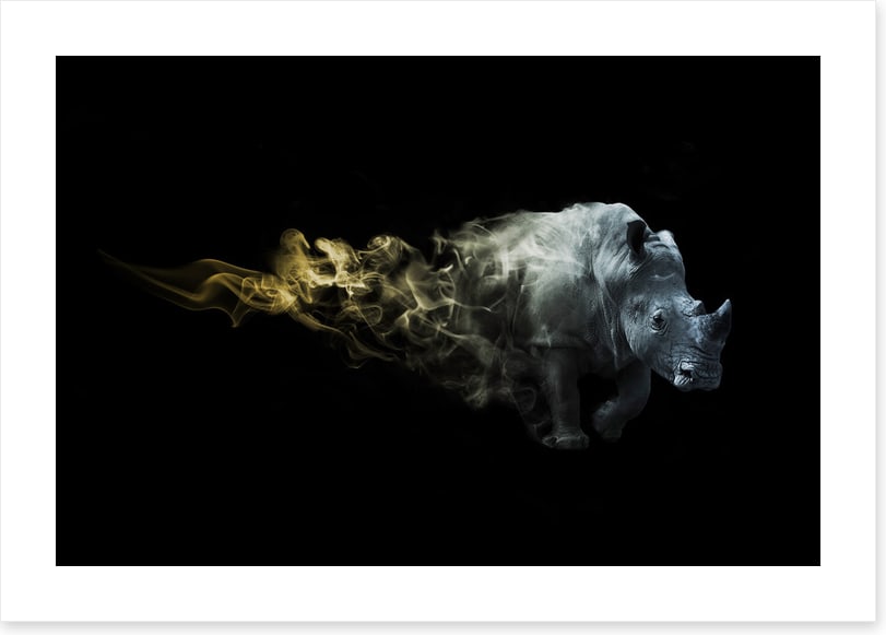 Rhino of fire
