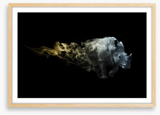 Rhino of fire