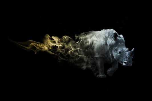 Rhino of fire