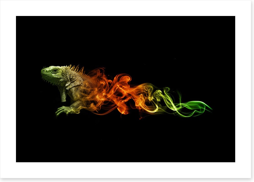 Lizard of fire