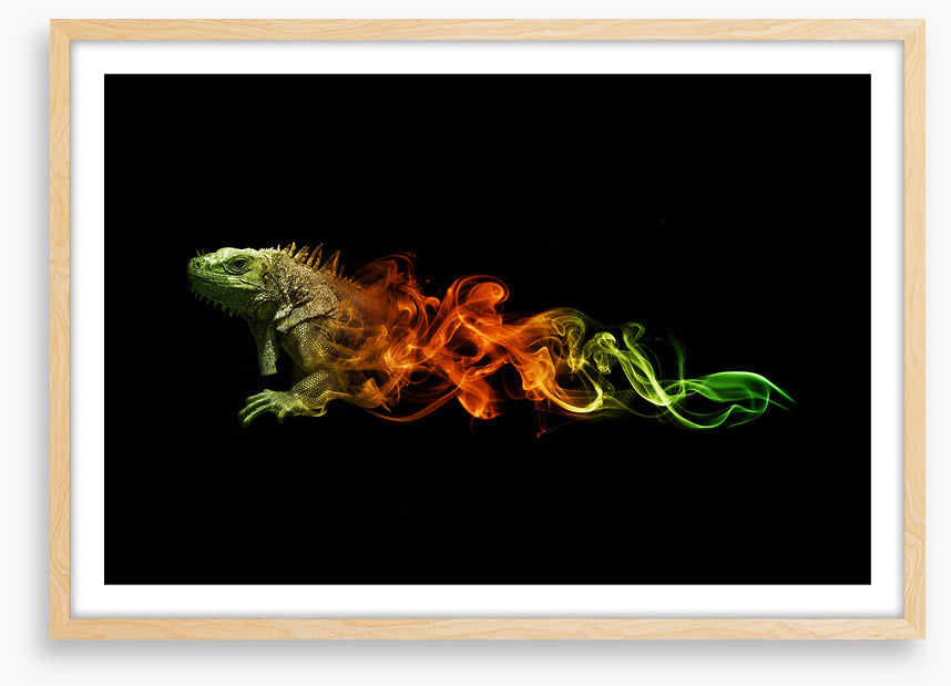 Lizard of fire