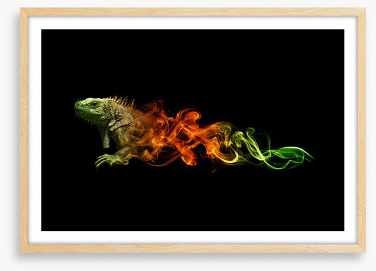 Lizard of fire