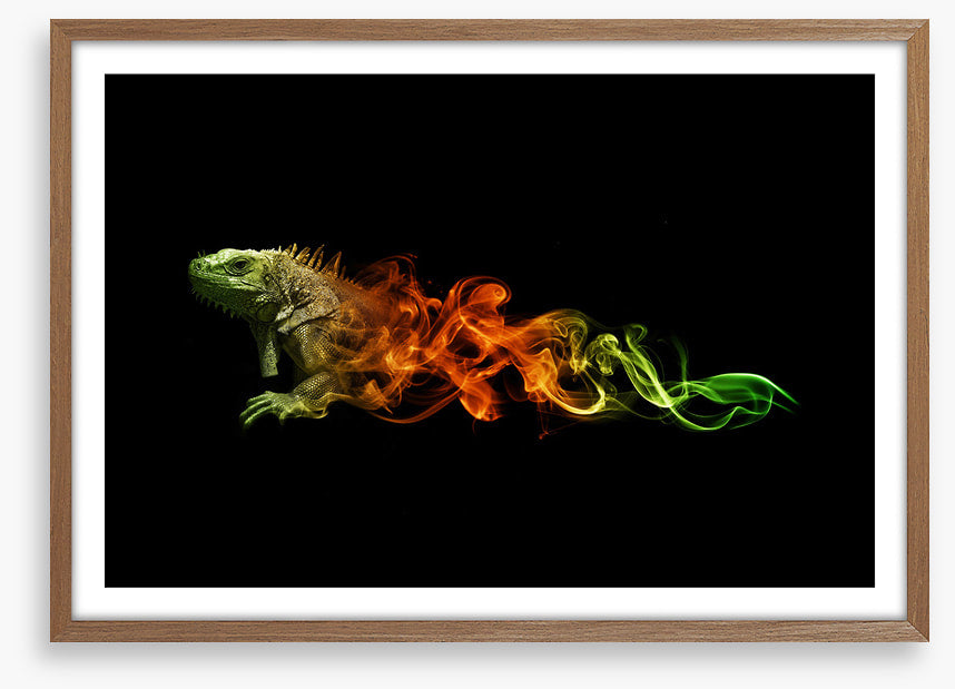 Lizard of fire