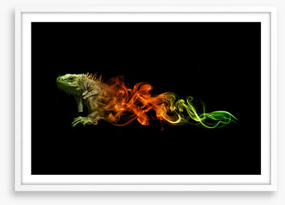 Lizard of fire