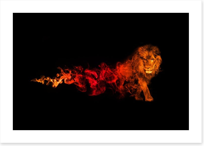 Lion of fire