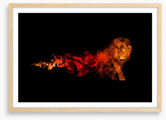 Lion of fire