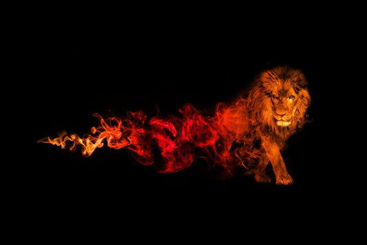 Lion of fire