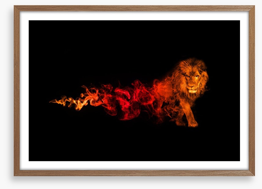 Lion of fire