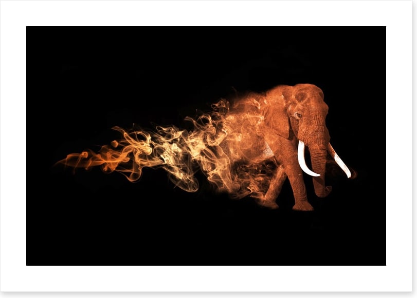 Elephant of fire