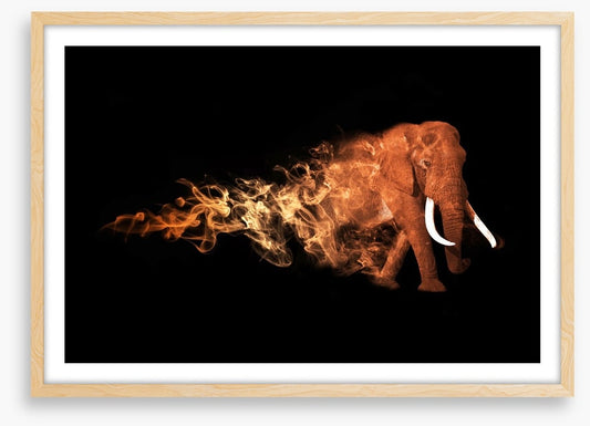 Elephant of fire
