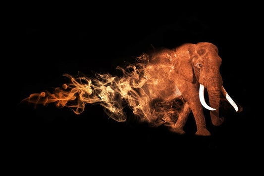 Elephant of fire