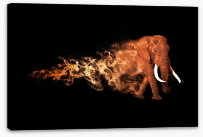Elephant of fire