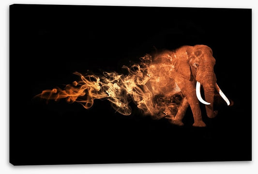 Elephant of fire
