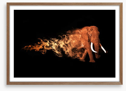 Elephant of fire