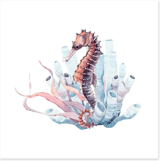 Seahorse in the kelp