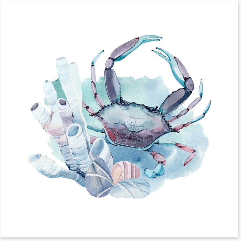 Crab in the coral