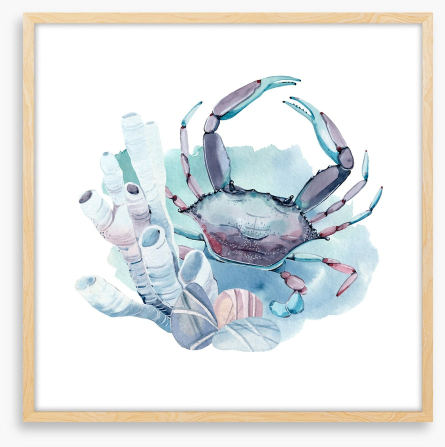 Crab in the coral