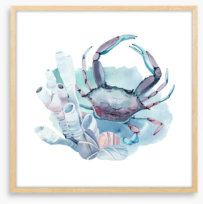 Crab in the coral