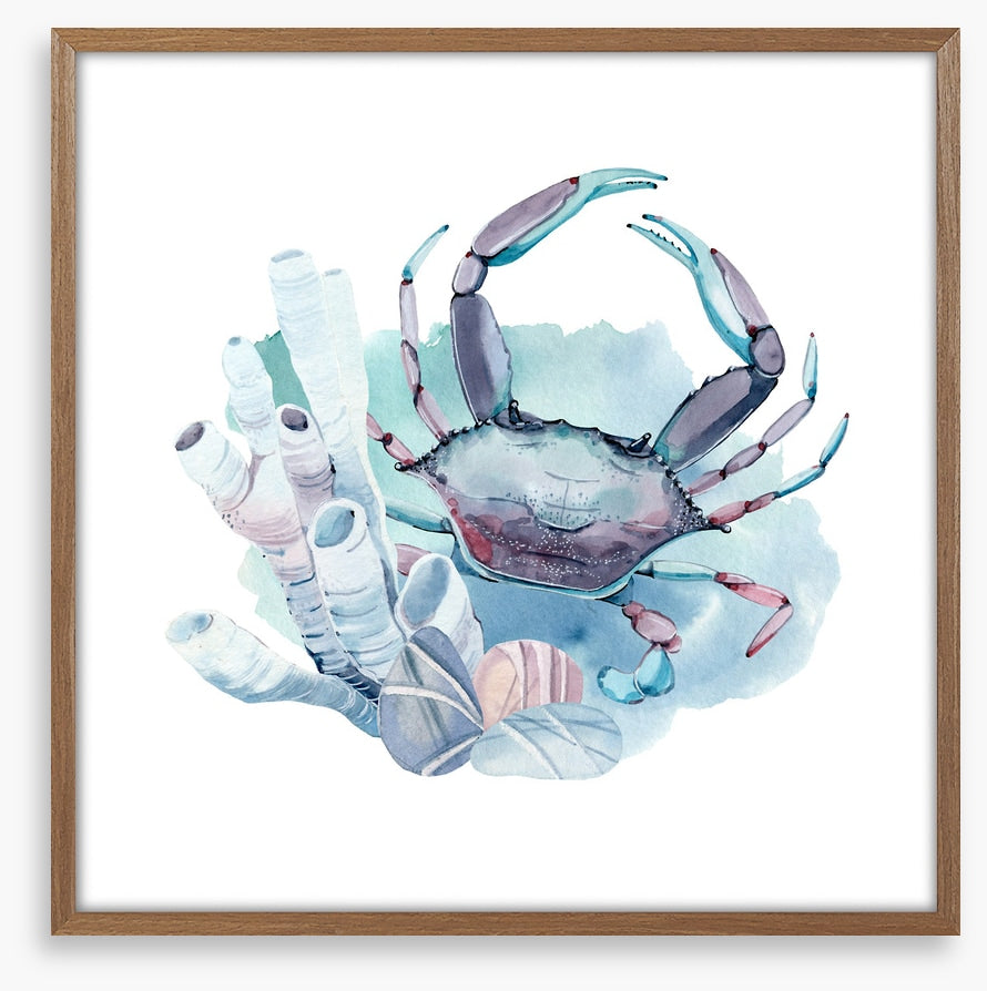 Crab in the coral
