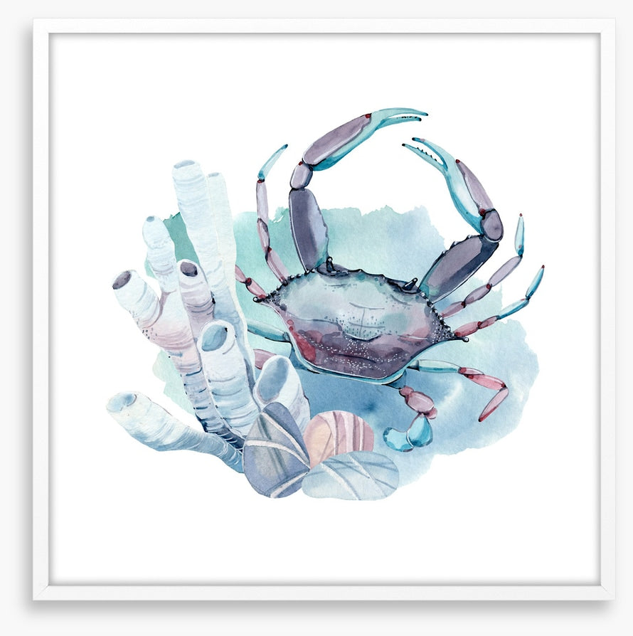Crab in the coral