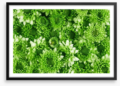Leafy abundance