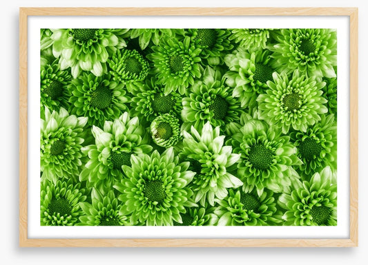 Leafy abundance