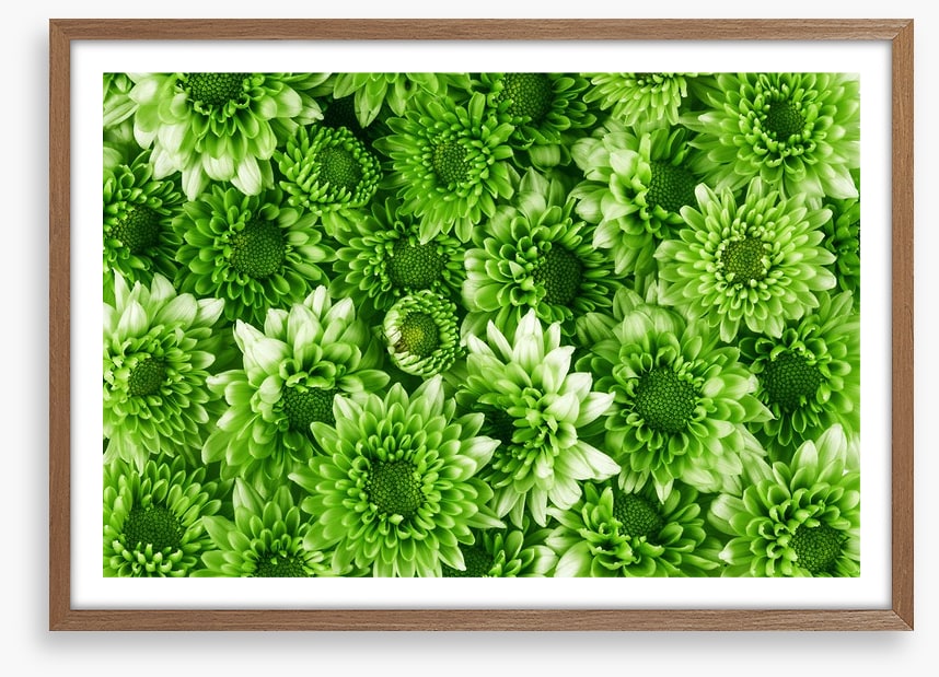 Leafy abundance