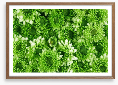 Leafy abundance