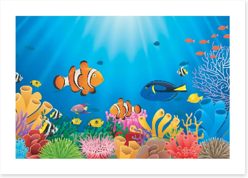 Clownfish coral