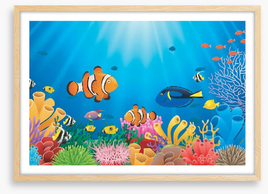Clownfish coral