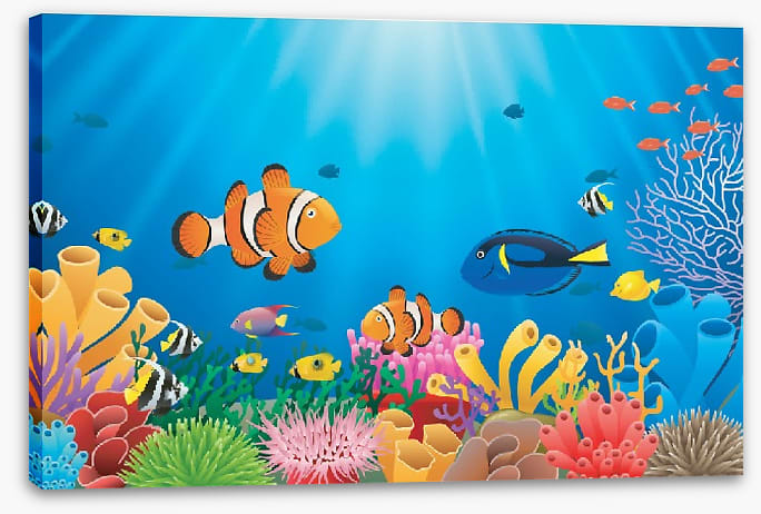 Clownfish coral