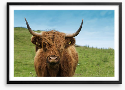Highland hair