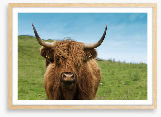 Highland hair