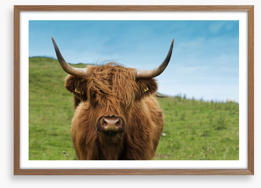 Highland hair