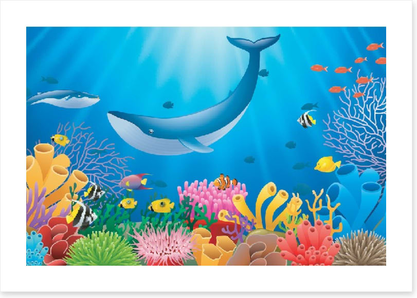 Humpback reef