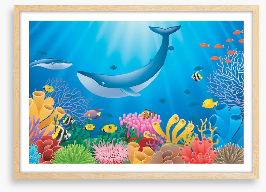 Humpback reef