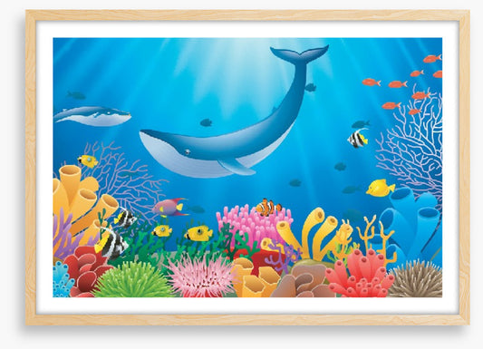 Humpback reef