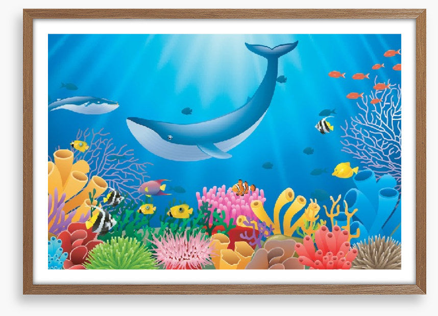 Humpback reef