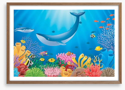 Humpback reef