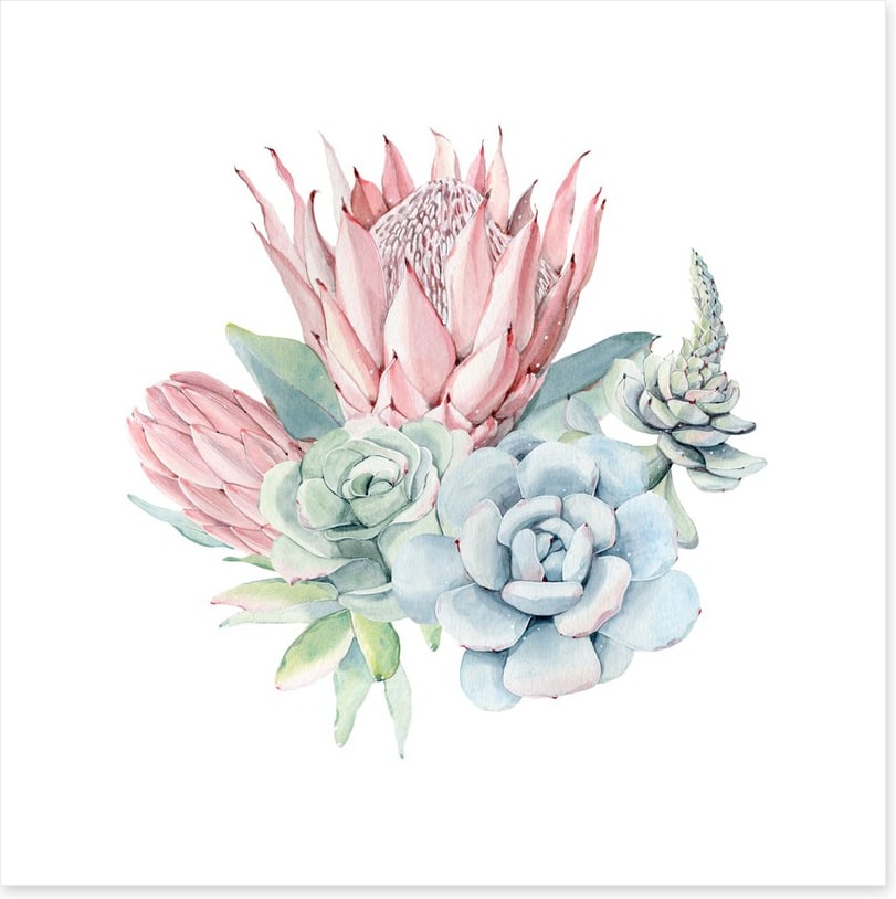 Succulent protea