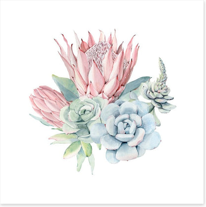 Succulent protea