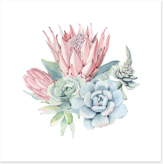 Succulent protea