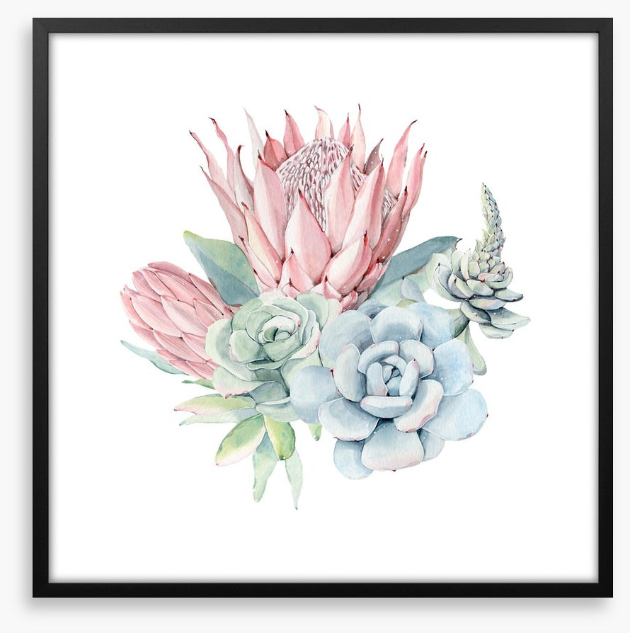 Succulent protea