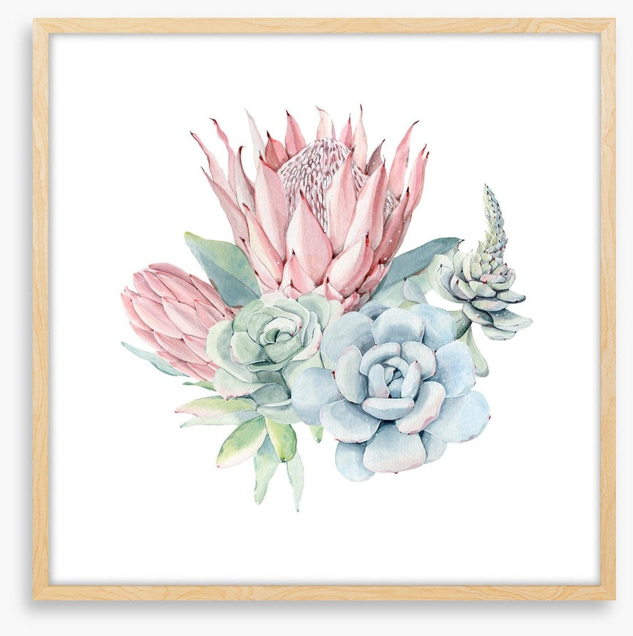 Succulent protea