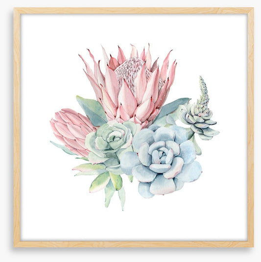 Succulent protea